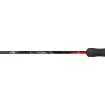 Spiningo rinkinys Abu Garcia Cardinal X Spinning Combo - 2,13m 10-30g - Hooky.lt