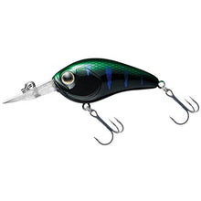 Vobleris Daiwa Monster Gill - Hooky.lt