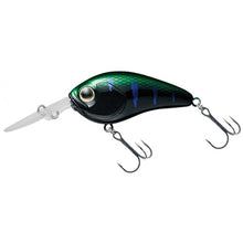 Vobleris Daiwa Steez Crank MR Monster Gill - Hooky.lt